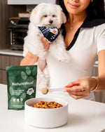 La nutrition premium au service de votre chien