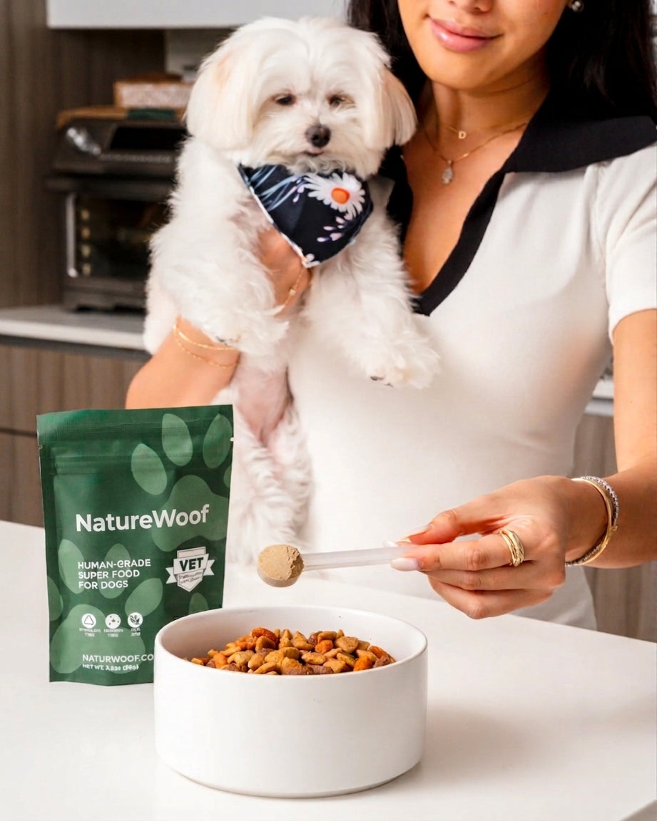 La nutrition premium au service de votre chien
